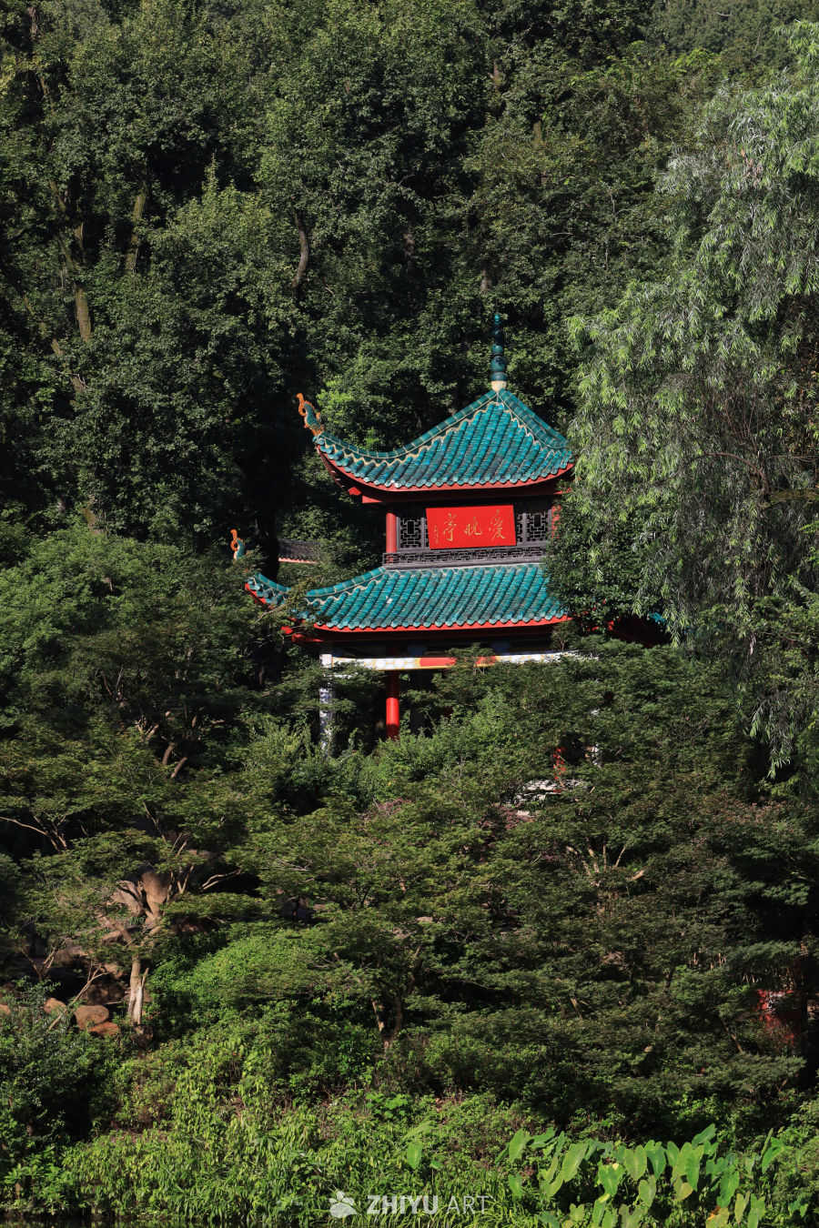 岳麓魅影