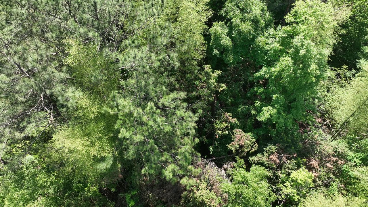 4K航拍临安青山湖景区