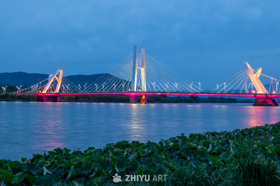 夜色下的大桥 16