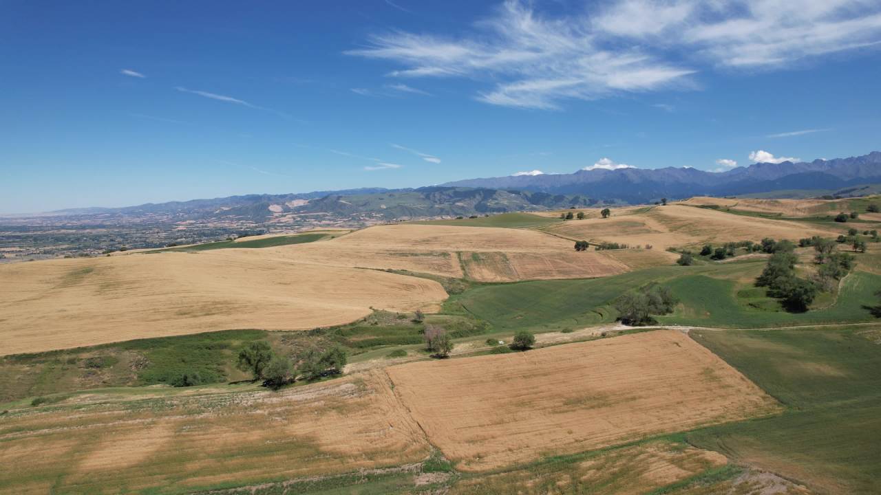 新疆奇台县江布拉克 1