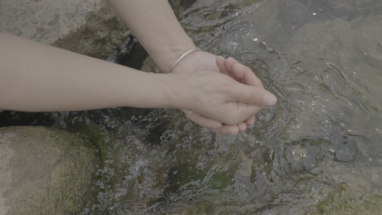 长寿村 7