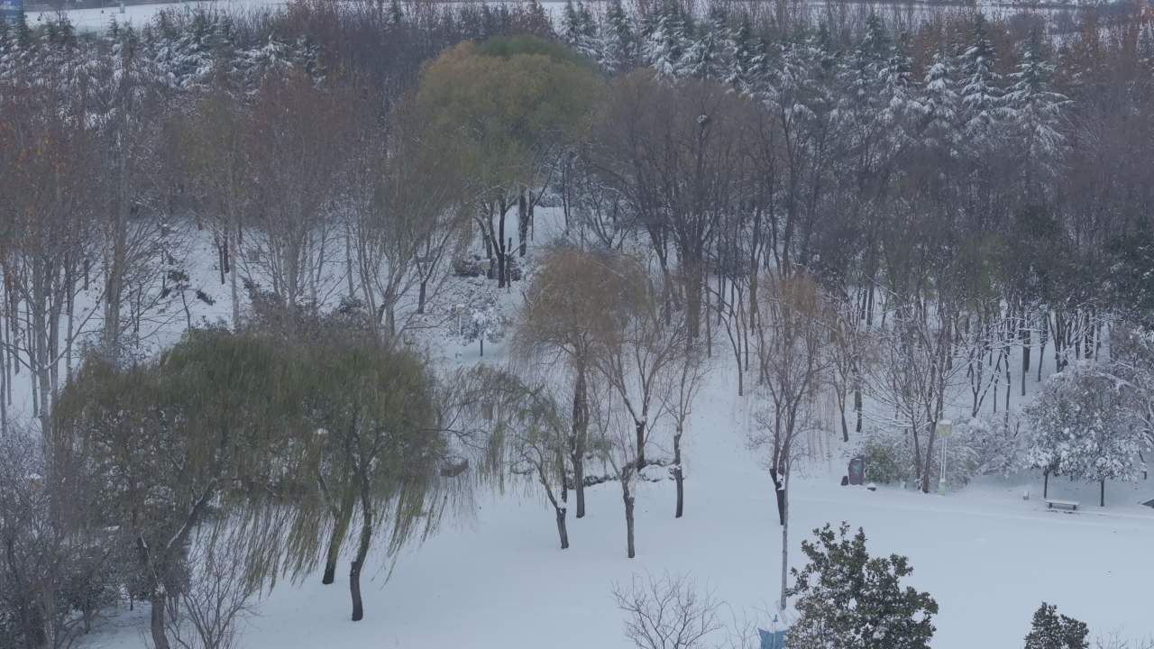 冬日雪景