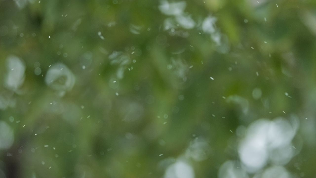 下雪慢镜头升格4K实拍空镜