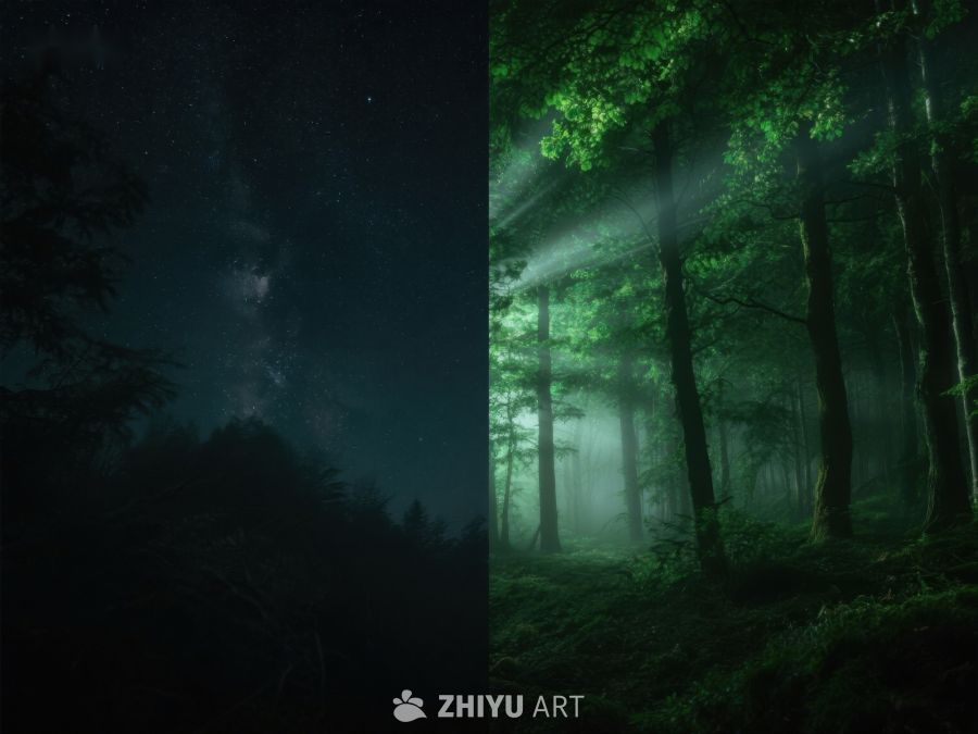 夜空与晨雾：森林的双重景象 396