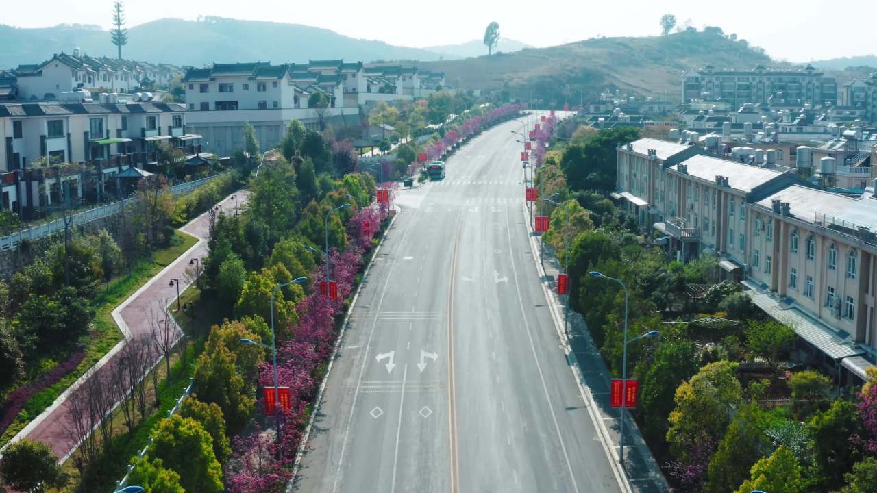 城市街道的春天景色