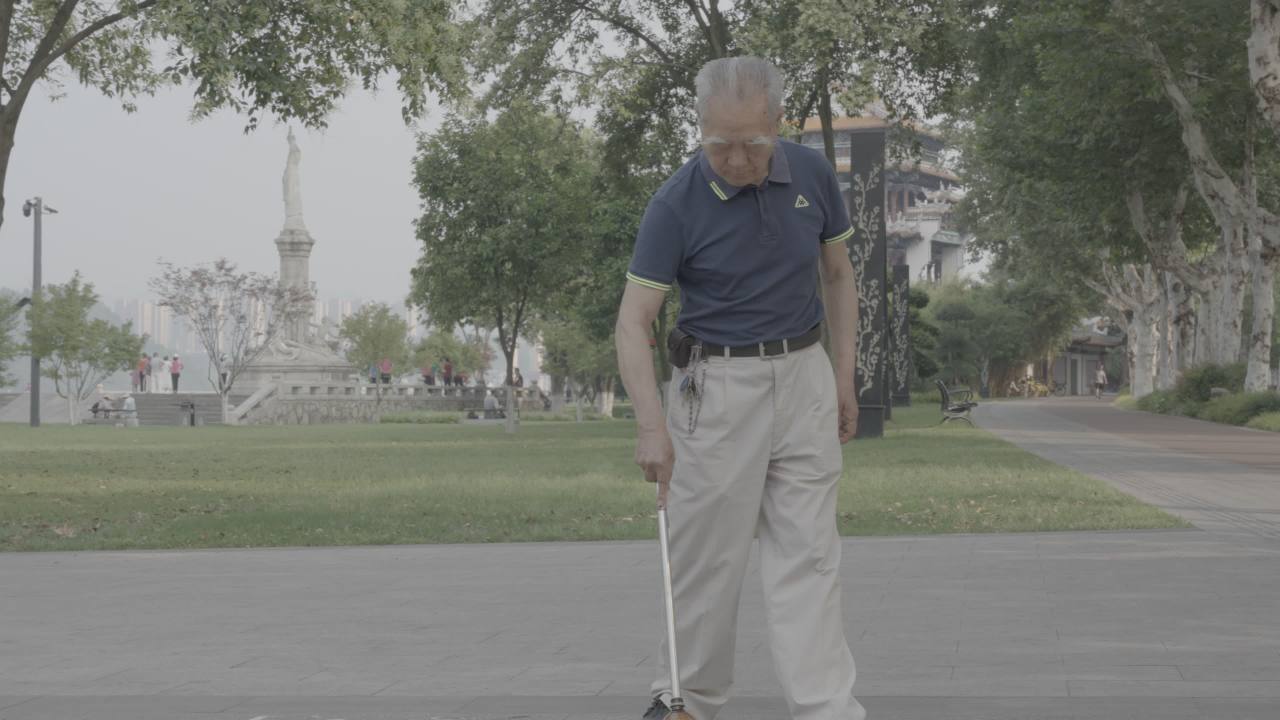 公园里的悠闲时光