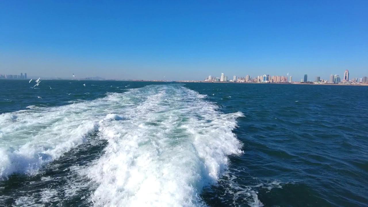 青岛蓝天蔚蓝大海高速行驶的船尾看海鸥群舞 2