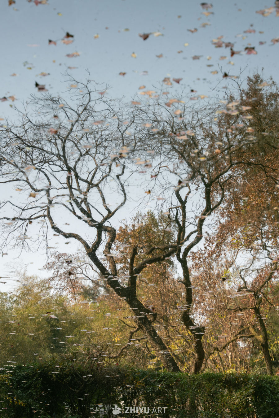 秋叶倒影的静谧之美