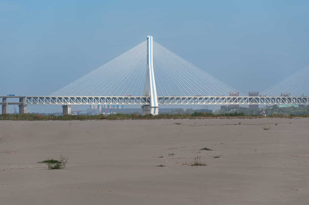 武汉天兴洲湿地