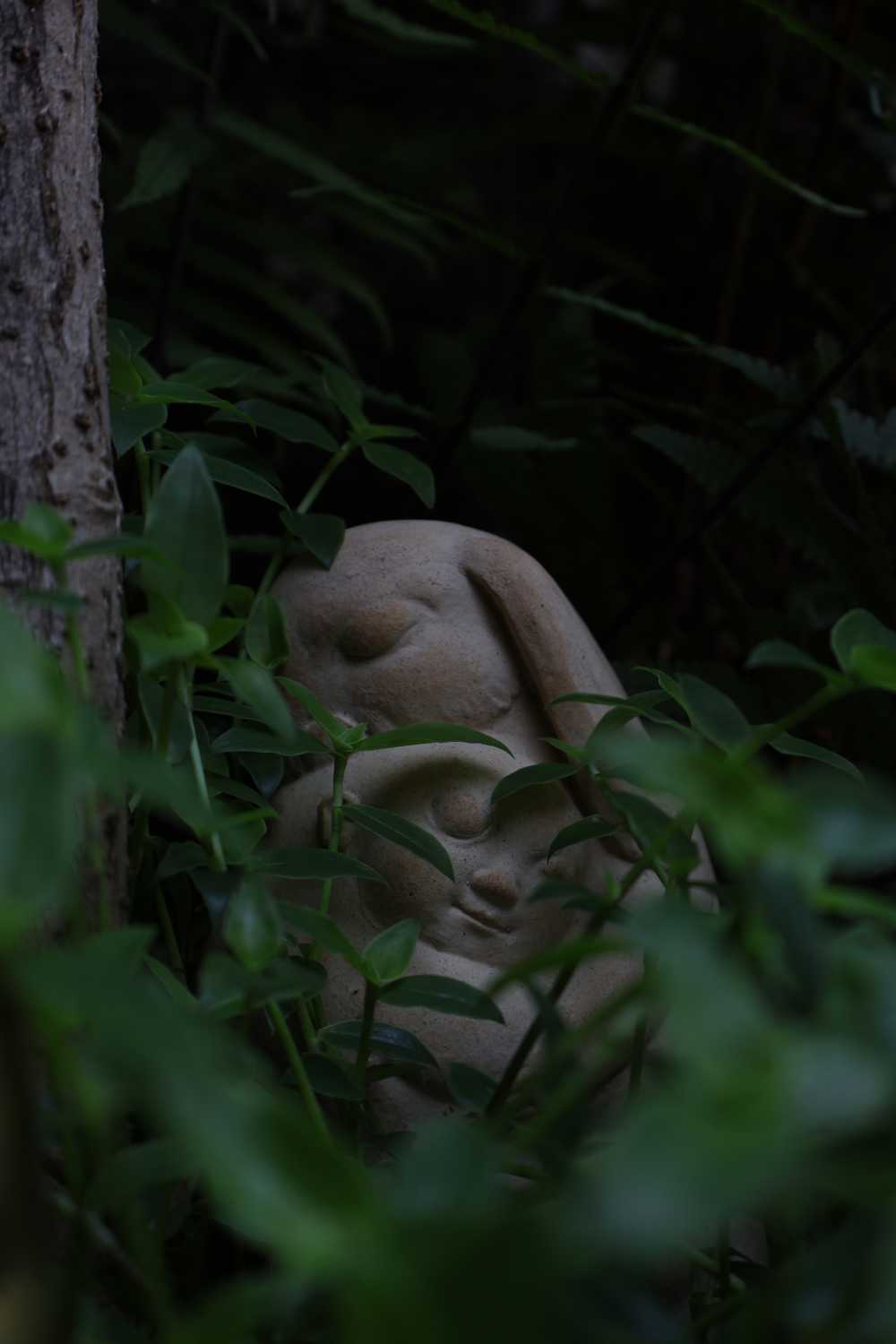 草丛一角