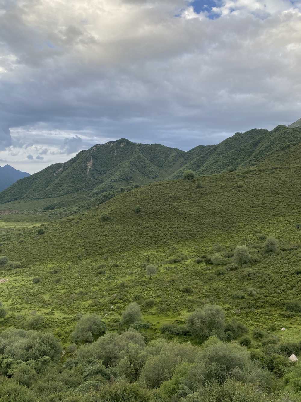 高原