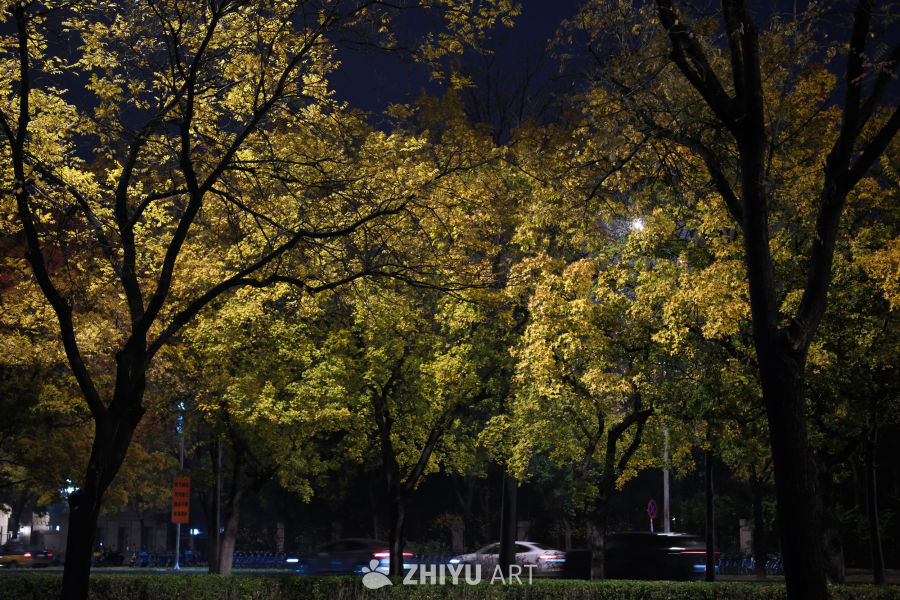 秋夜街景：金黄树叶与车灯