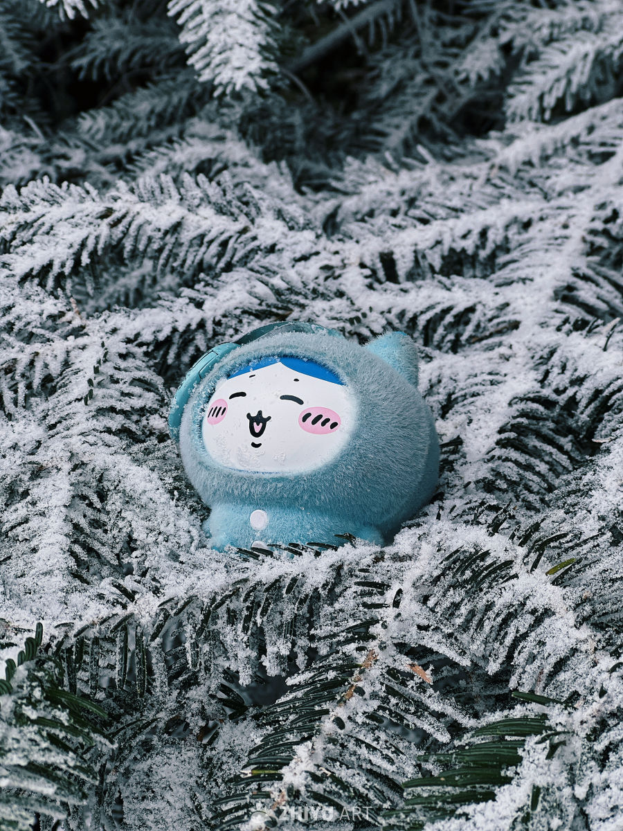 身体和灵魂总有一个在路上