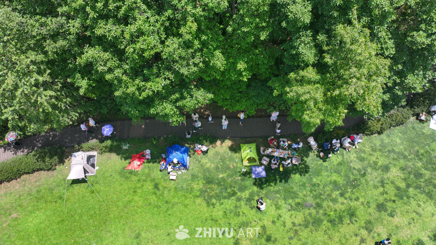 绿色草坪露营 户外休闲生活 6