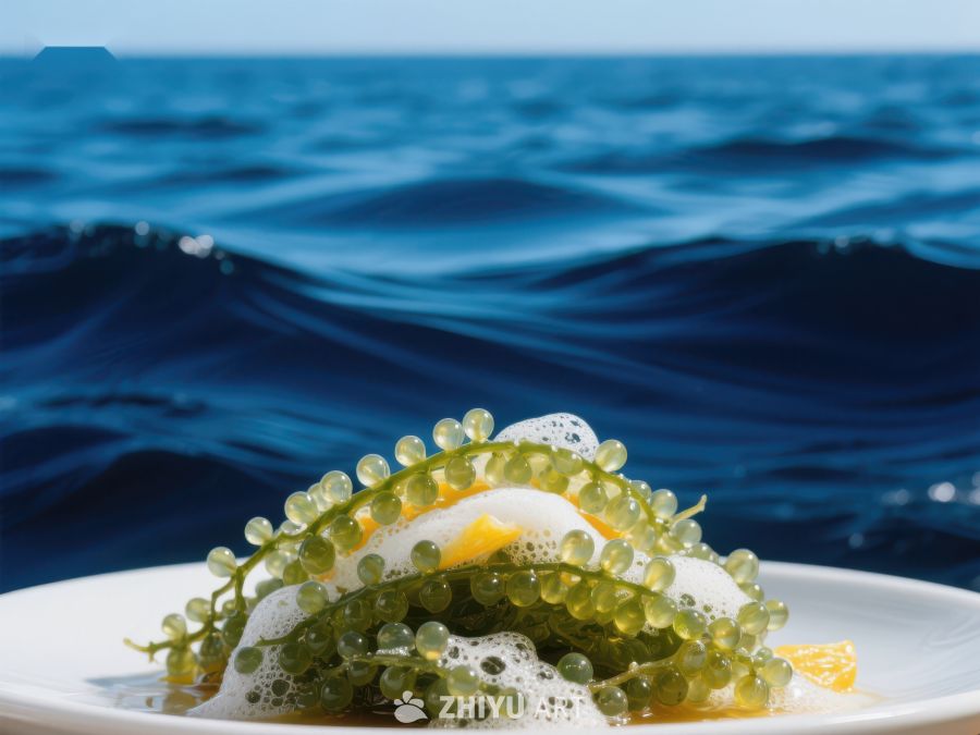 海葡萄配蛋黄，背景为海洋 204
