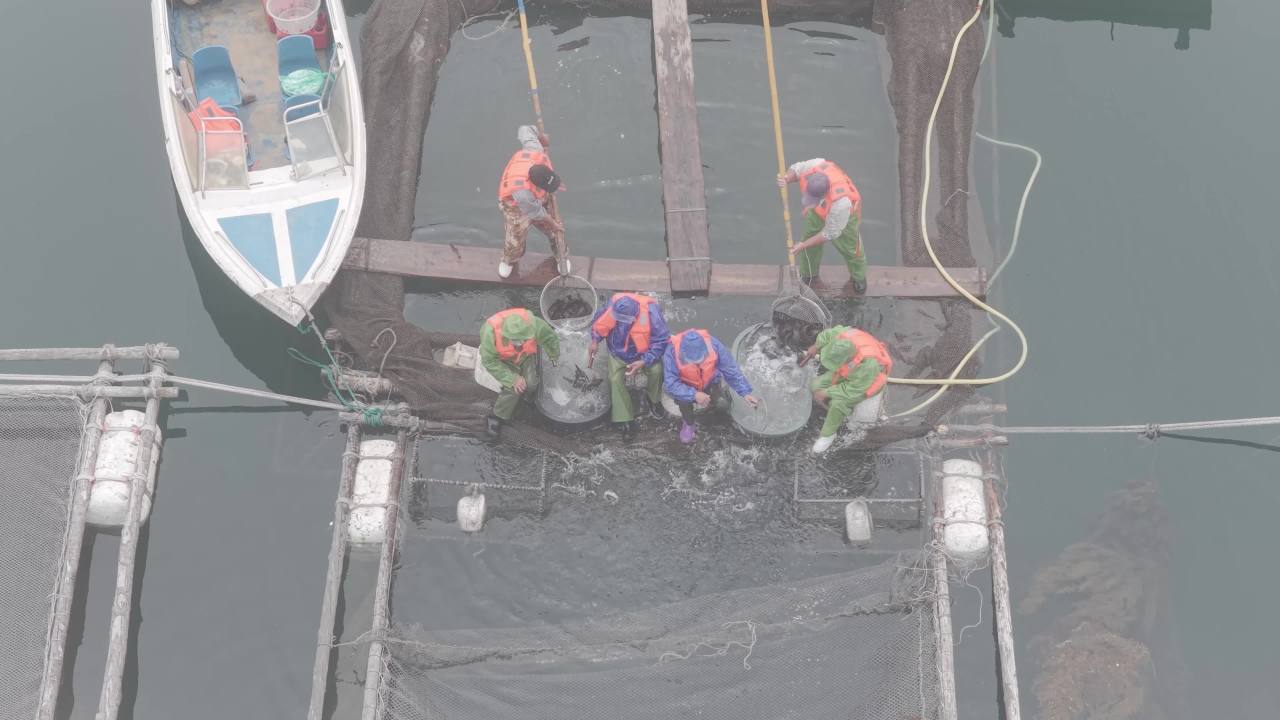 沿海渔村水产养殖与网箱作业