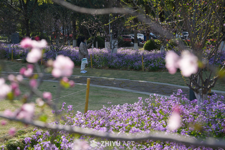 春日公园漫步
