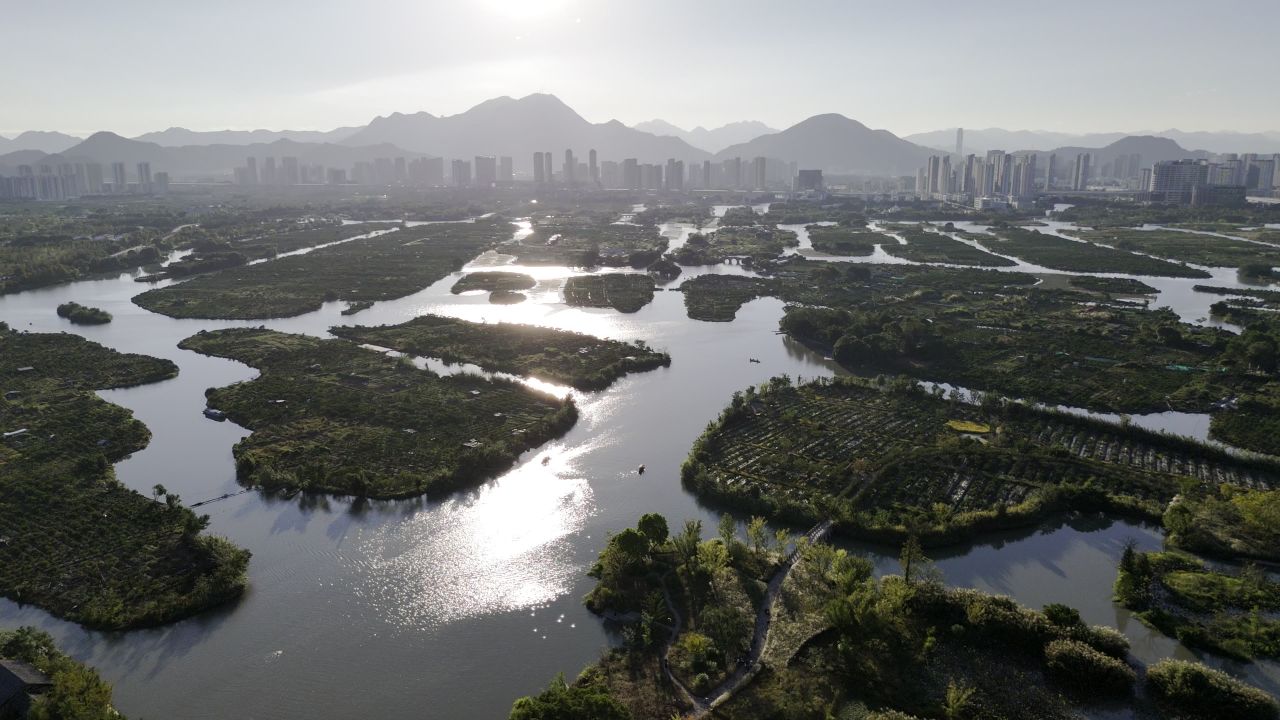 温州三垟湿地风光 23