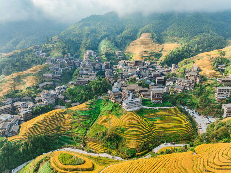 桂林龙脊梯田风光 3