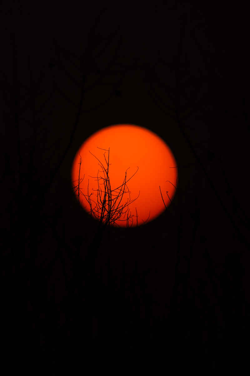夕阳 11