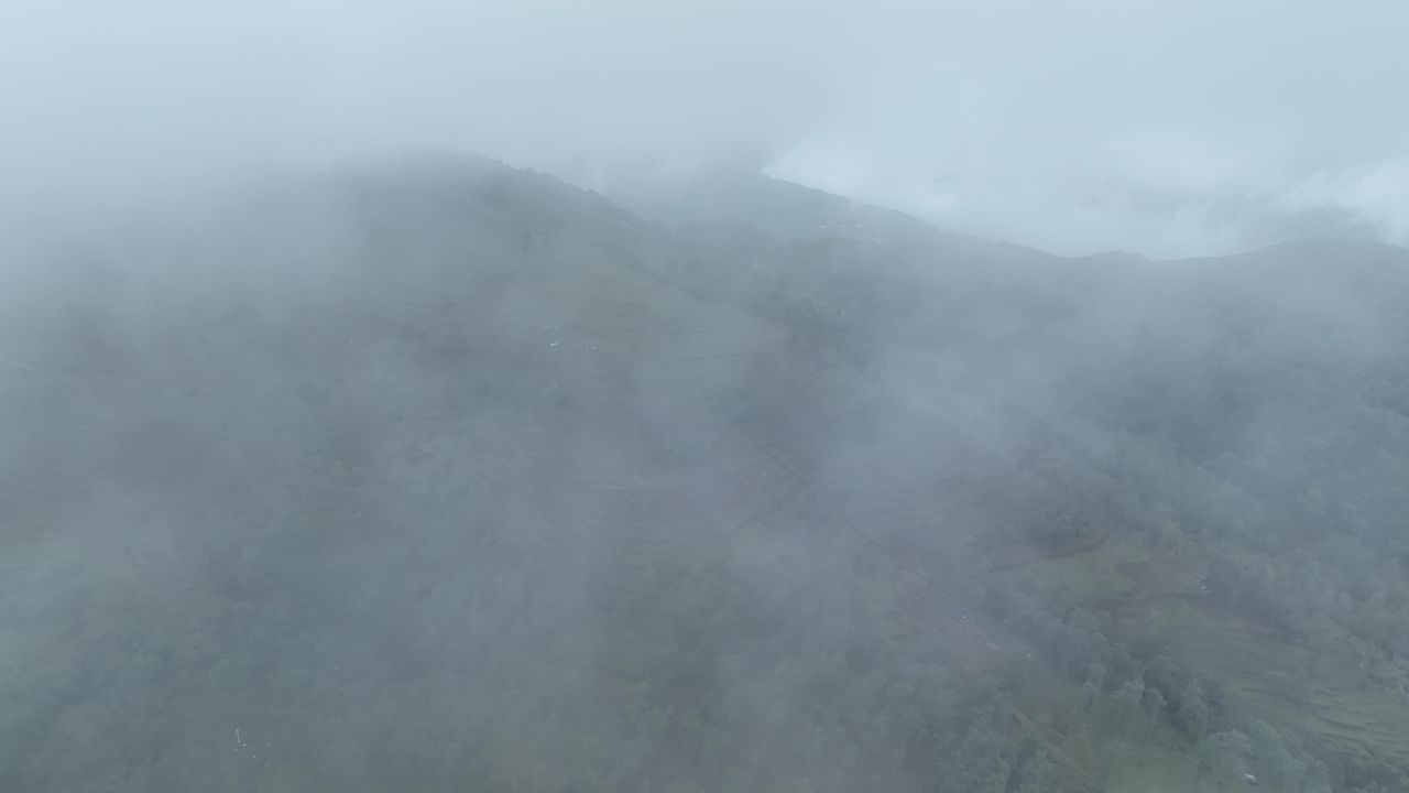 产业振兴 13