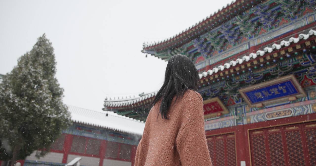 A_0003C351H251212_162753TD_CANON