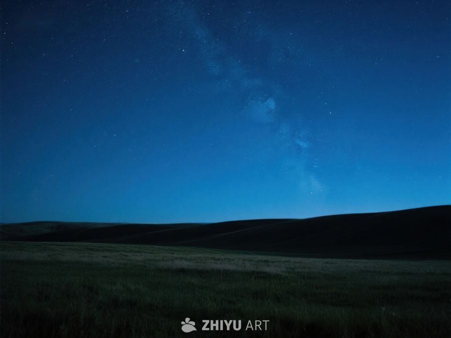 夜空下的草原剪影 289