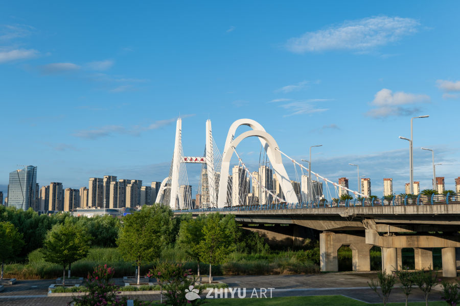 夜景下的城市大桥 12
