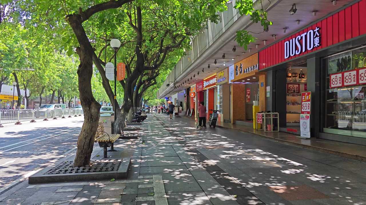 4K夏日休闲林荫道