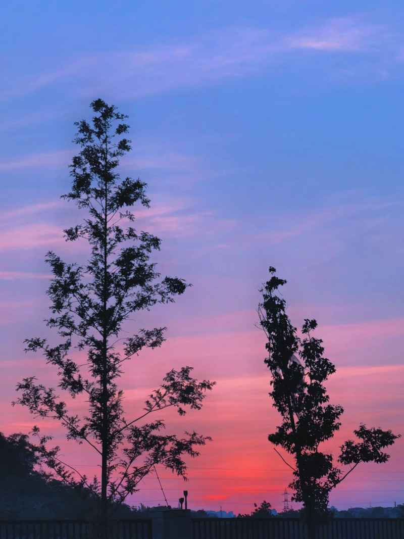 夏