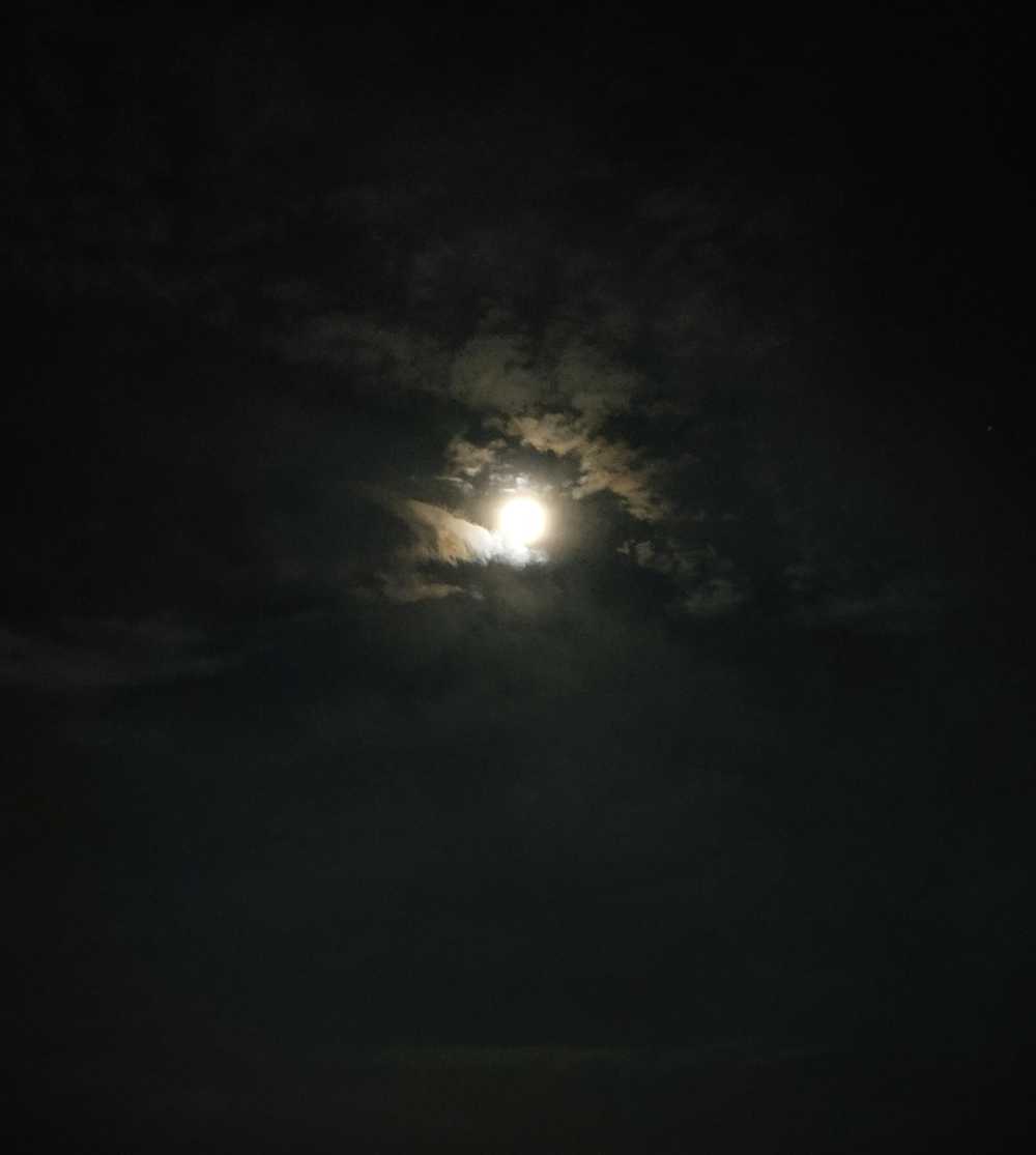 晚上的圆月