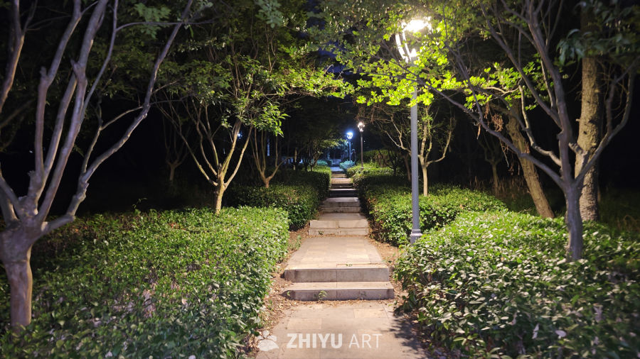 林间小路