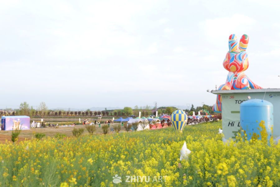 油菜花海 21