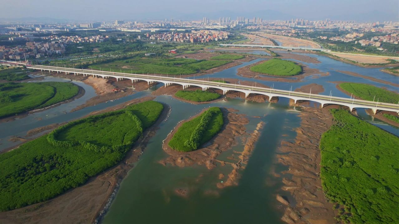 厦门航拍下潭尾湿地公园景观