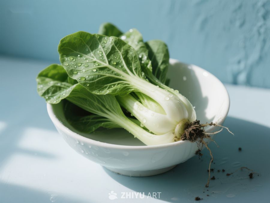 新鲜小白菜置于白色碗中 752