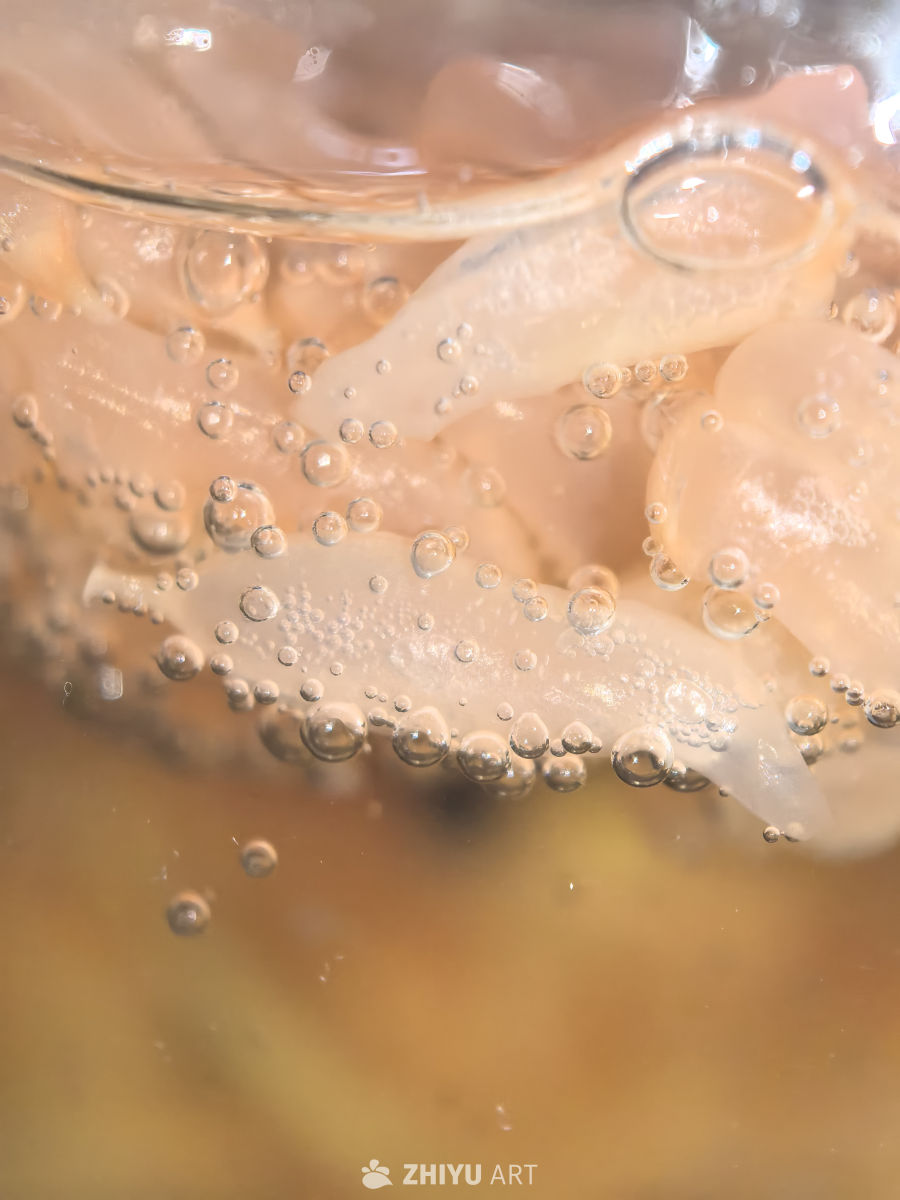 谁能猜得出来我拍的啥？