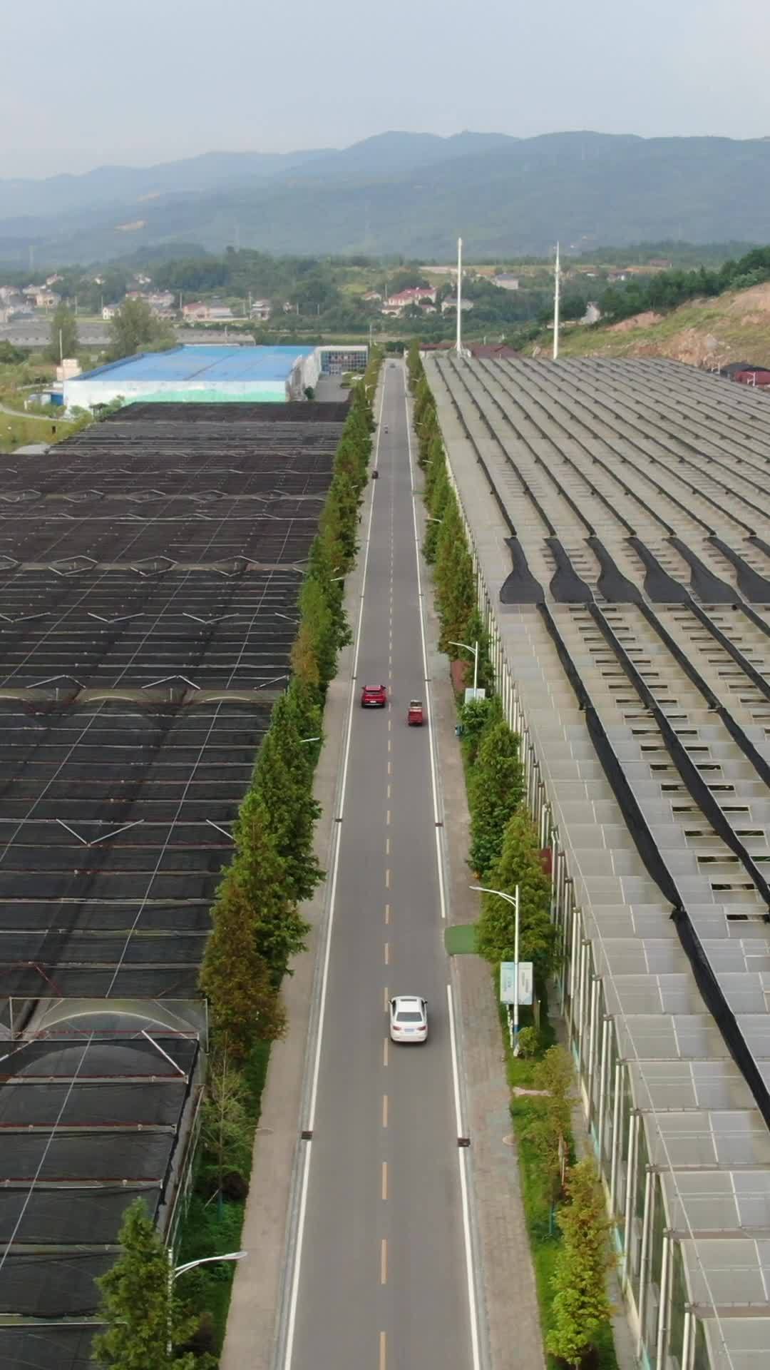 太阳能板与公路的和谐共存