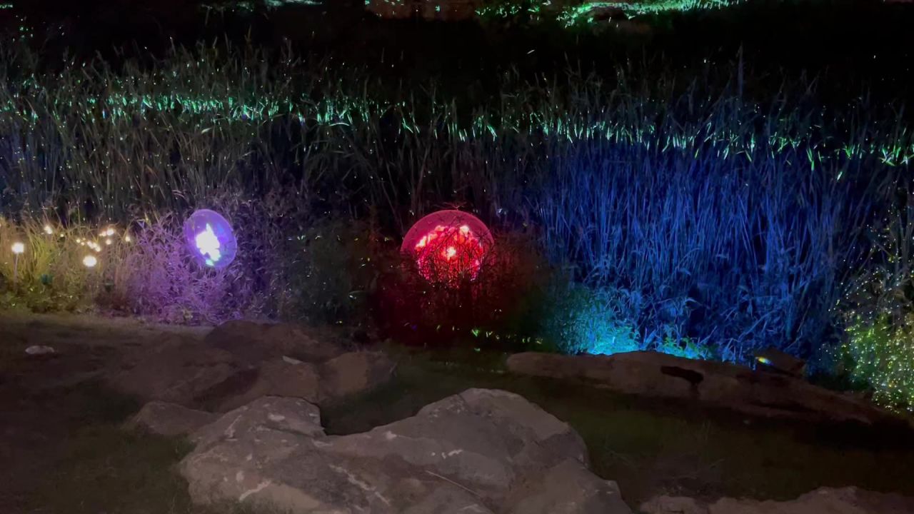 公园夜拍