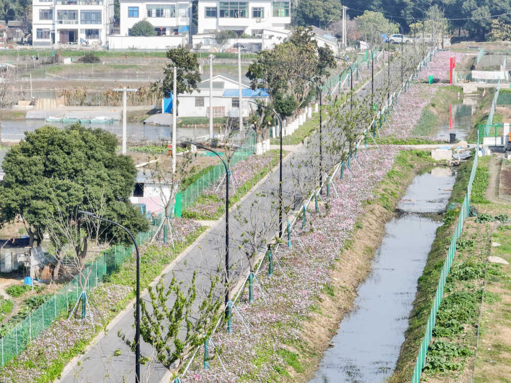 昆山横娄村