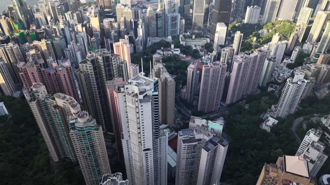 维港 10