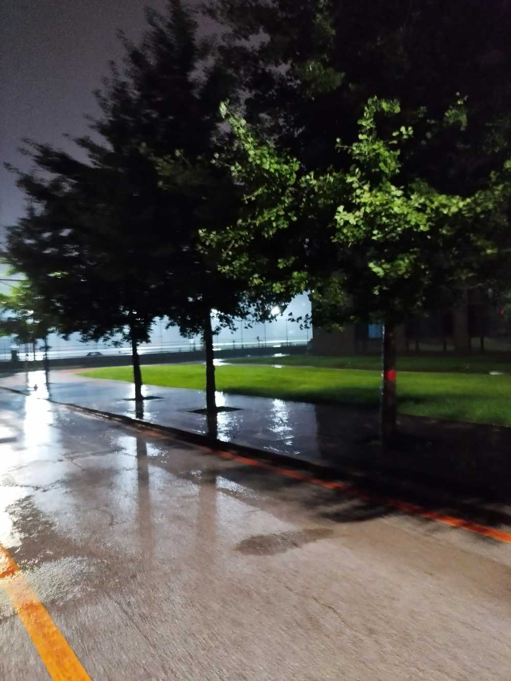 东北大学风景2