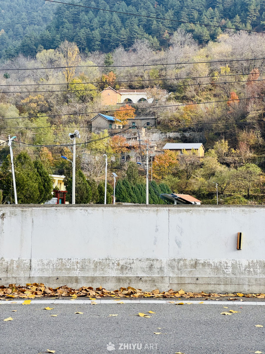 岳家寨