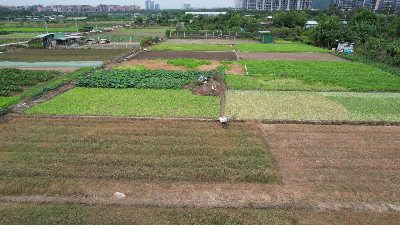 城郊农业基地航拍 5