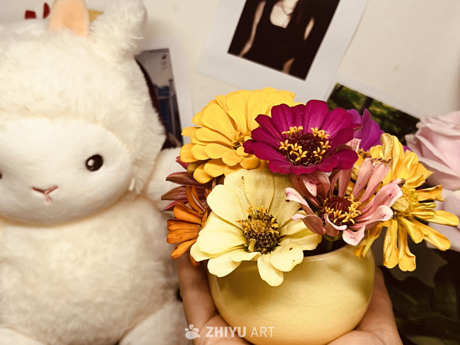 花与兔的温馨角落