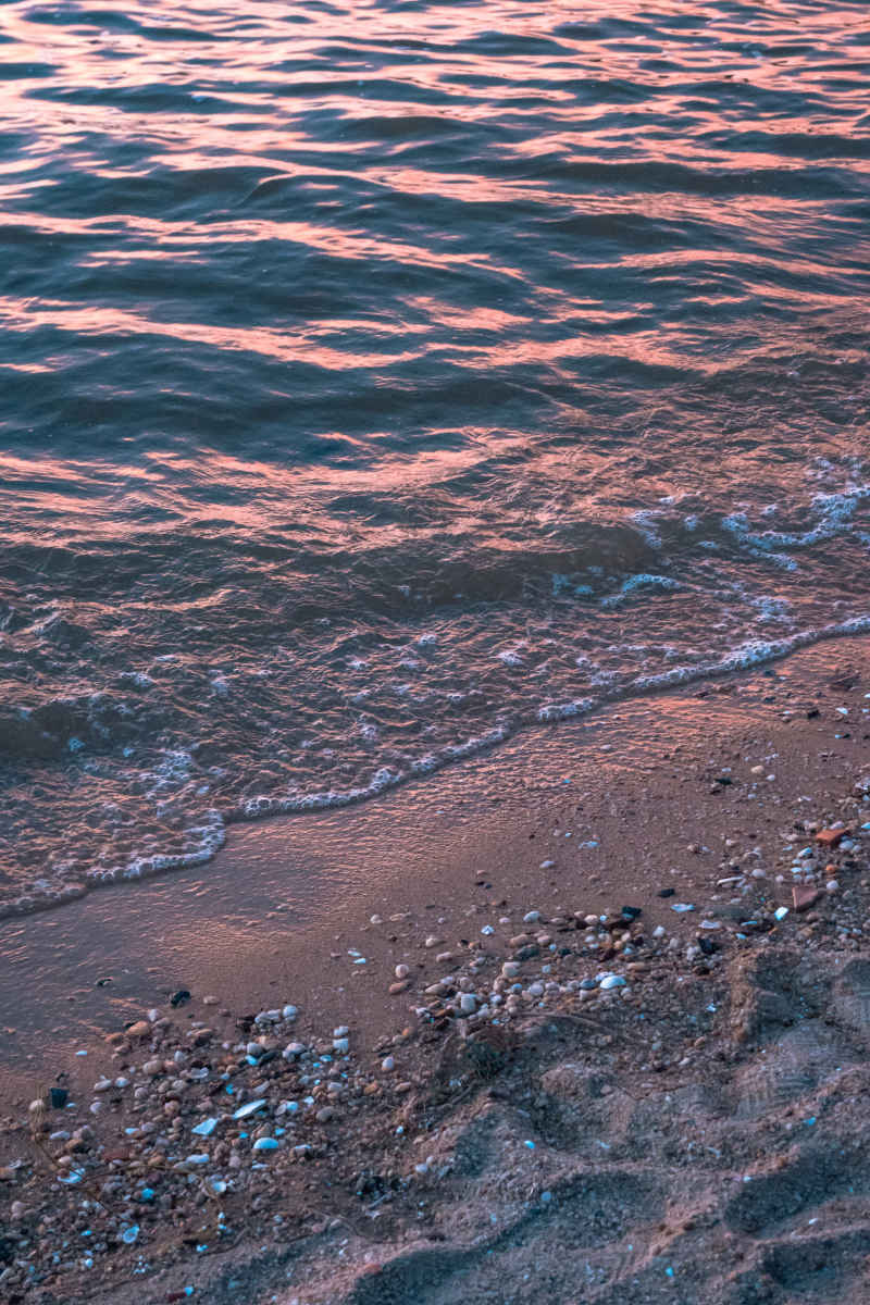 海
