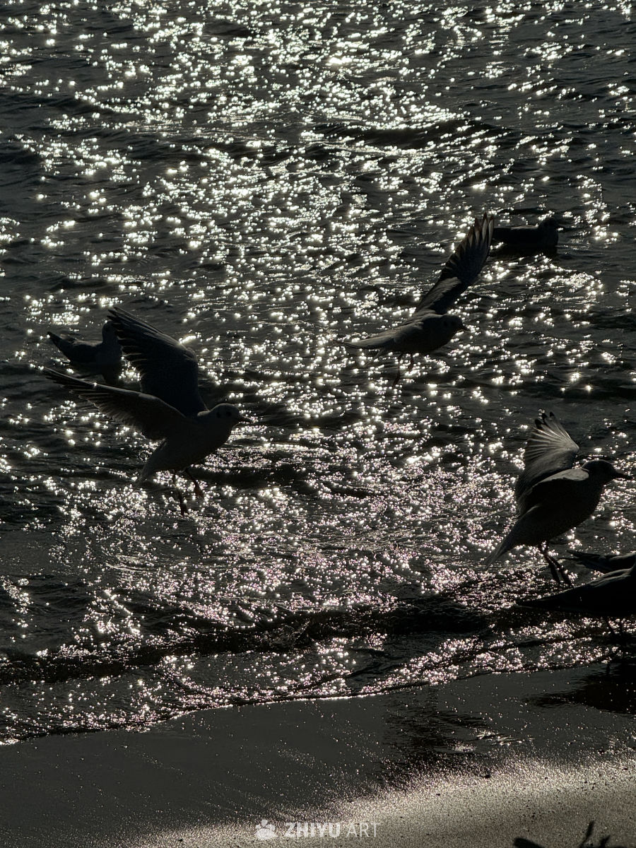 海 8