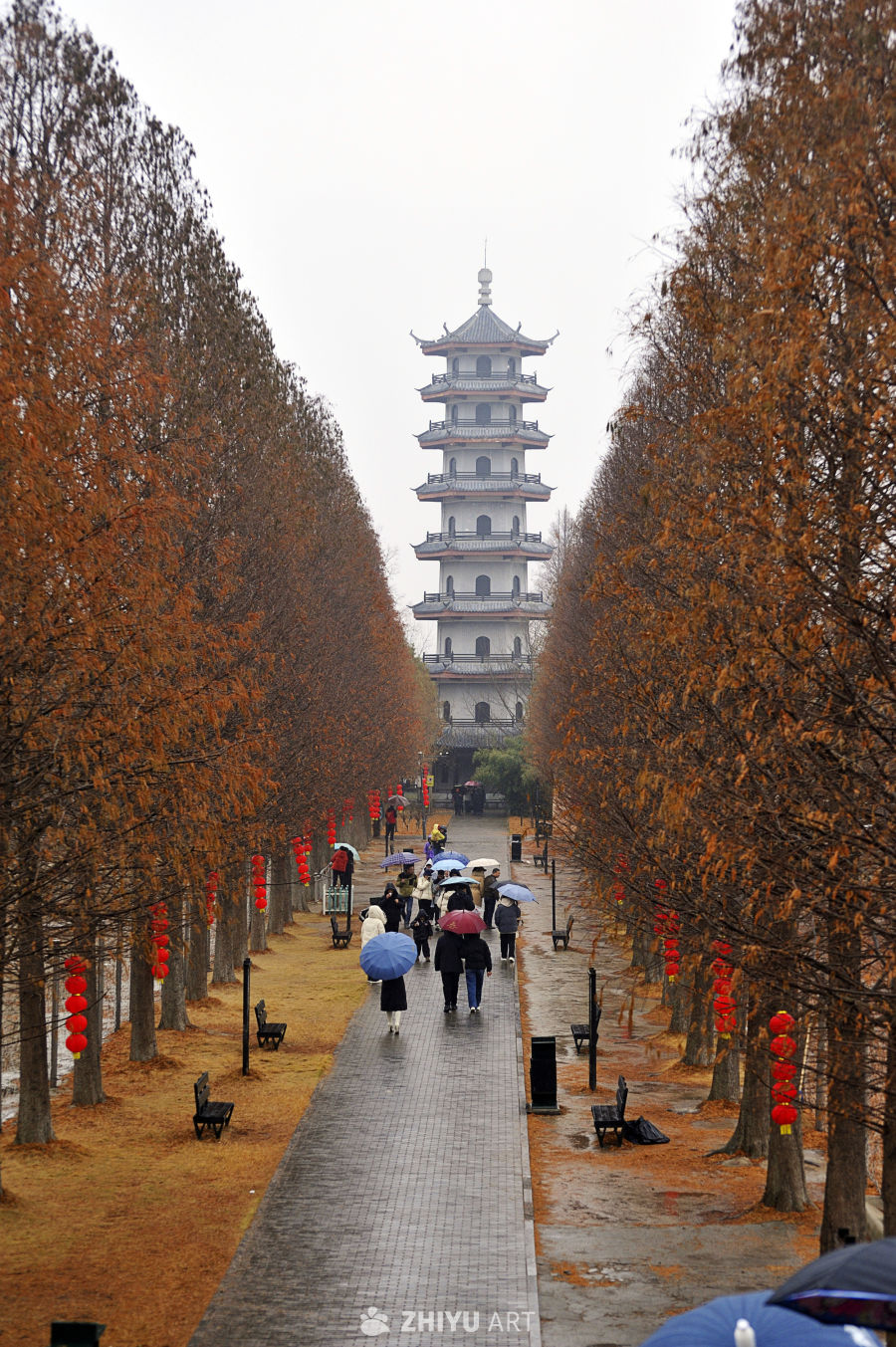 麋鹿 15