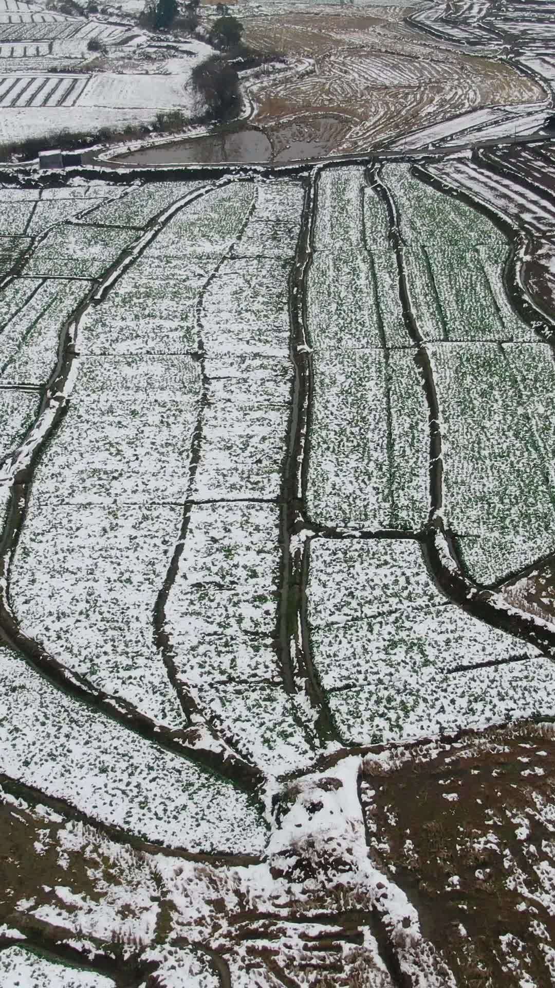 冬日雪后田野