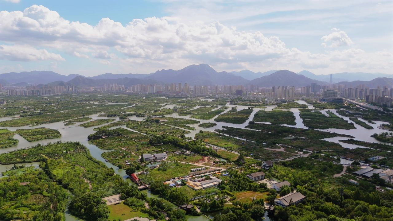 温州三垟湿地 7