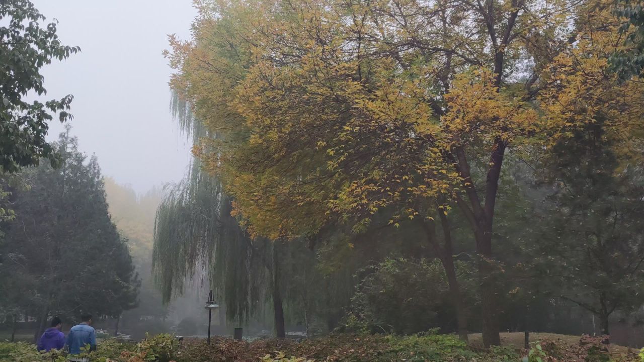 大学 保定 21